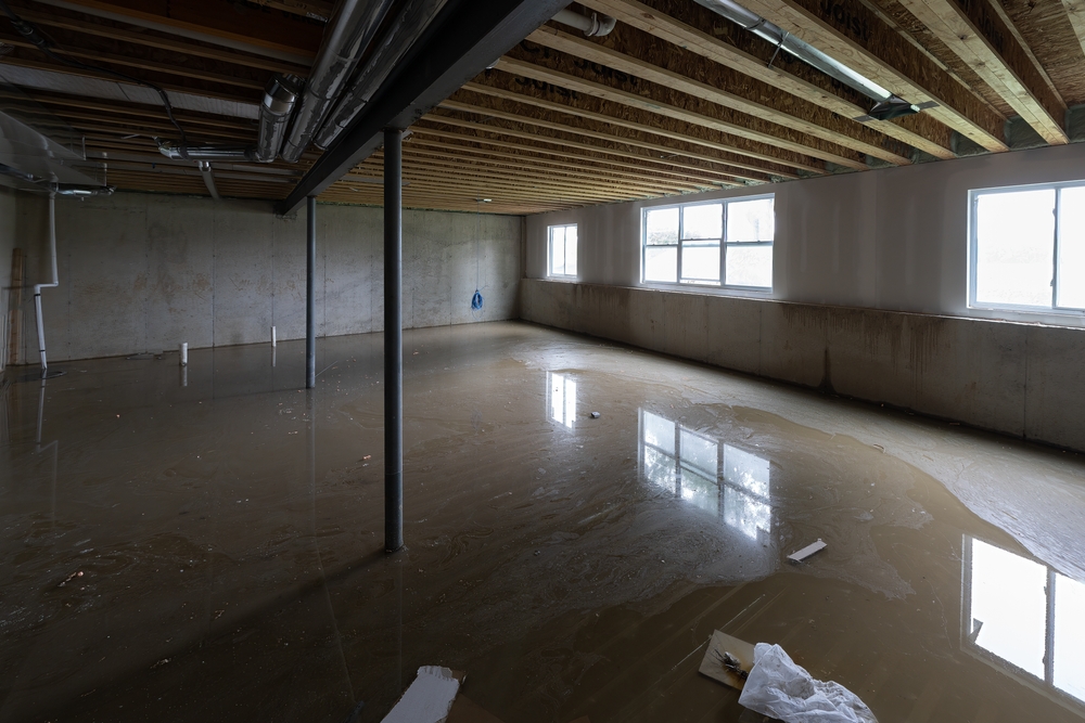 Basement Cleaning Services Cost: Factors That Affect Pricing