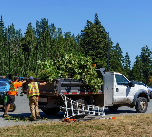 Assessing Landscape Cleanup Needs