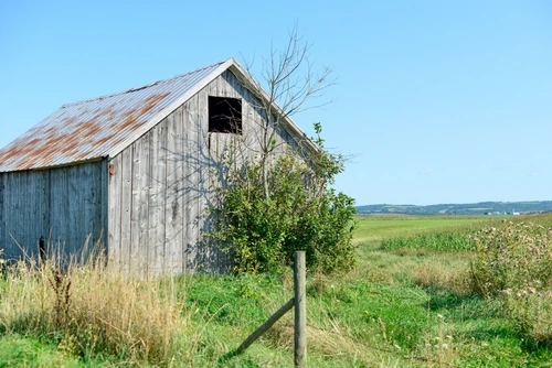 Assessing Your Barn's Potential