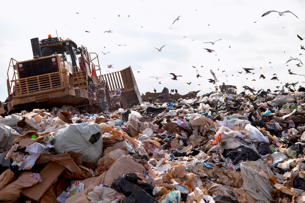 Baltimore County Landfill