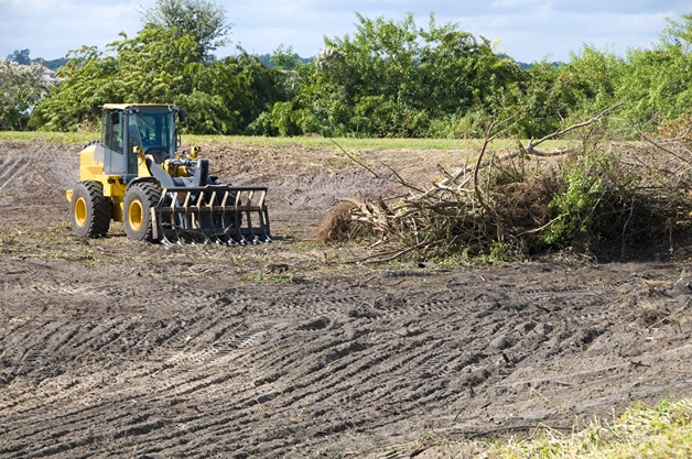 Brush Clearing Essentials: Effective Techniques for Land Management