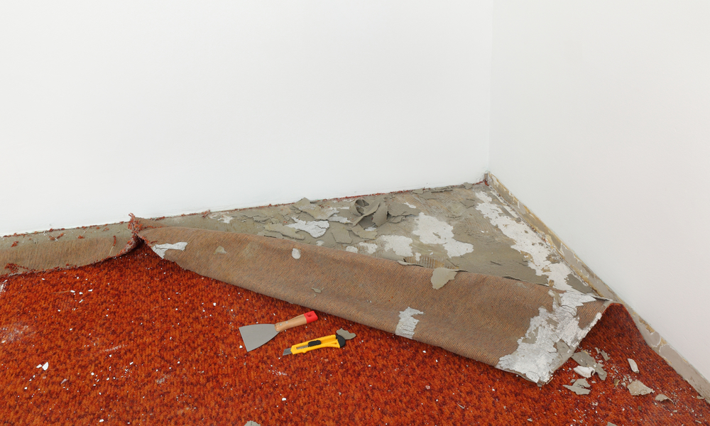 Carpet Removal Tools: Essential Equipment for Efficient Flooring Upgrades