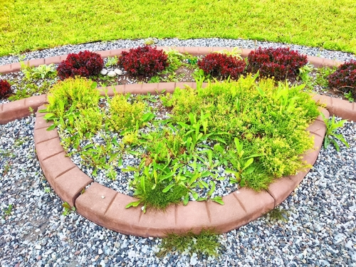 Enhancing Curb Appeal with Strategic Landscaping