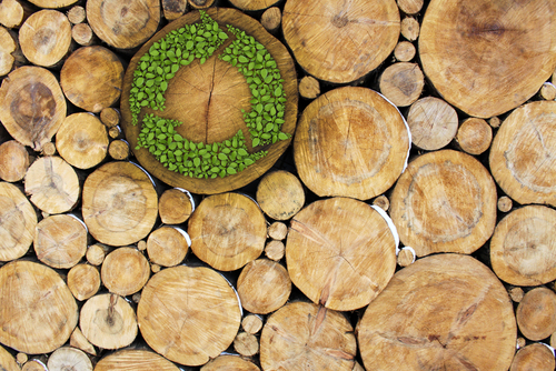 Environmental Impact of Wood Disposal