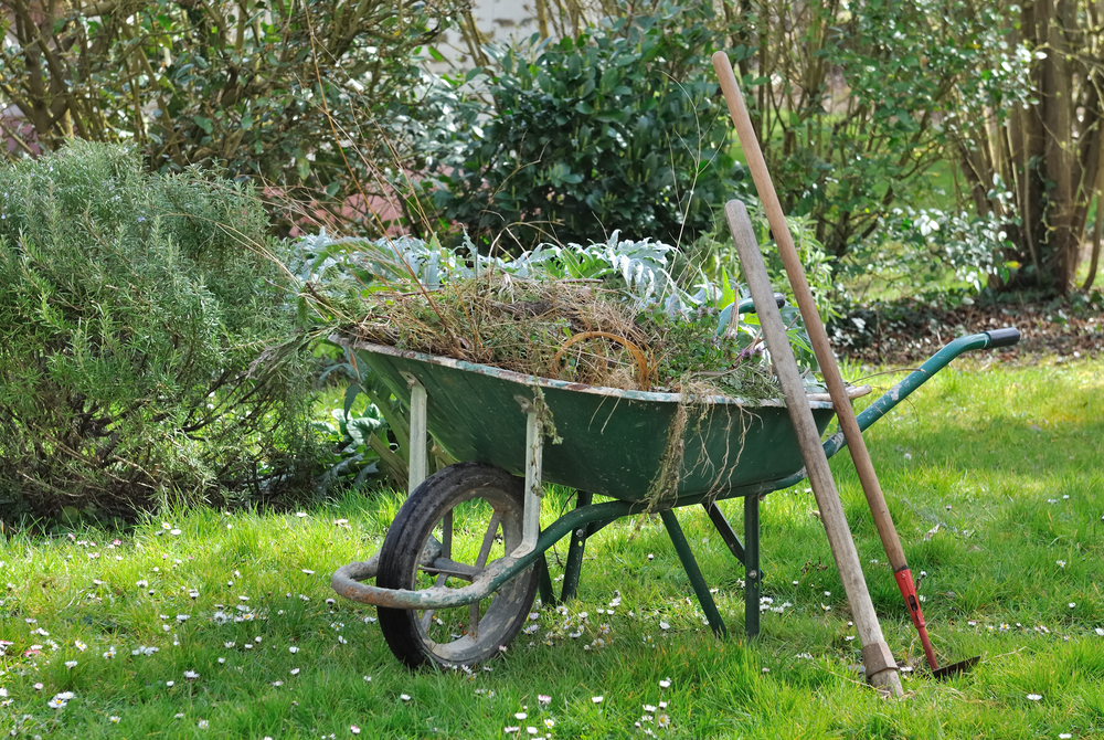 Garden Waste Disposal: Efficient Methods for Eco-Friendly Management