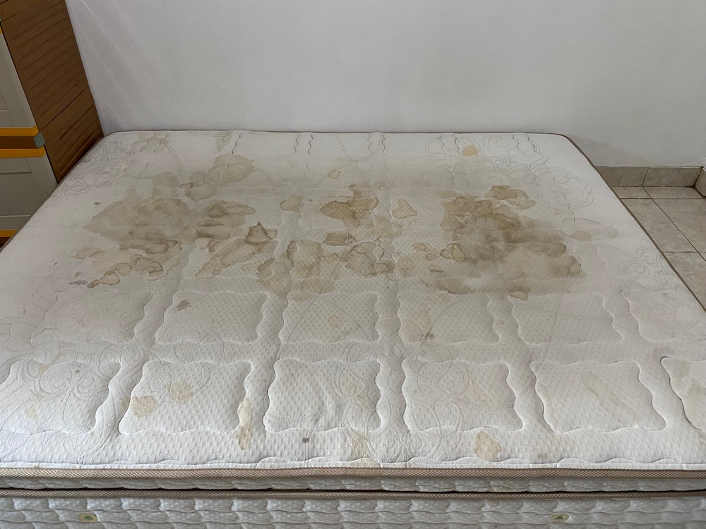 How to Cut Up a Mattress: A Step-by-Step Guide - Waste Removal USA