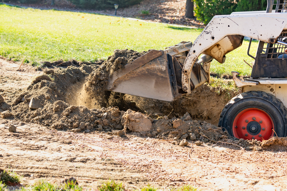 How to Dispose of Dirt from Your Yard: Efficient Removal Strategies