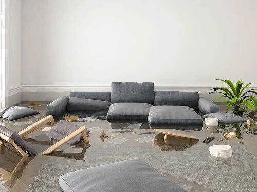 How to Handle Water Damage Restoration
