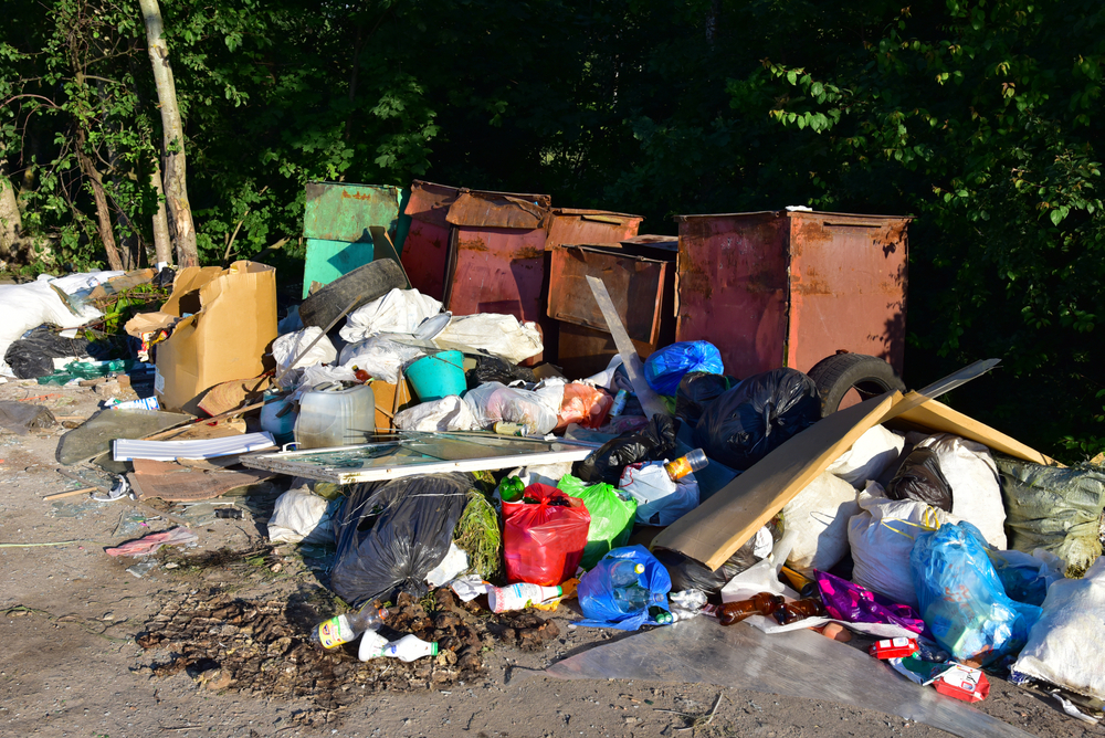 Junk Removal in Jacksonville: Expert Solutions for a Clean Space