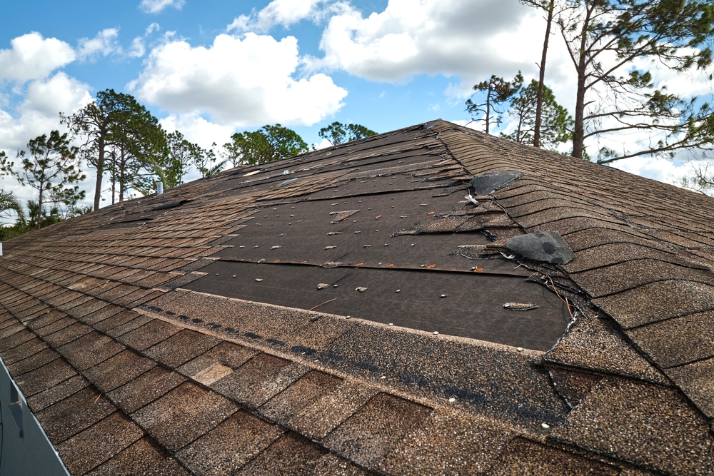 Roof Maintenance Essentials: Keeping Your Home Safe and Dry