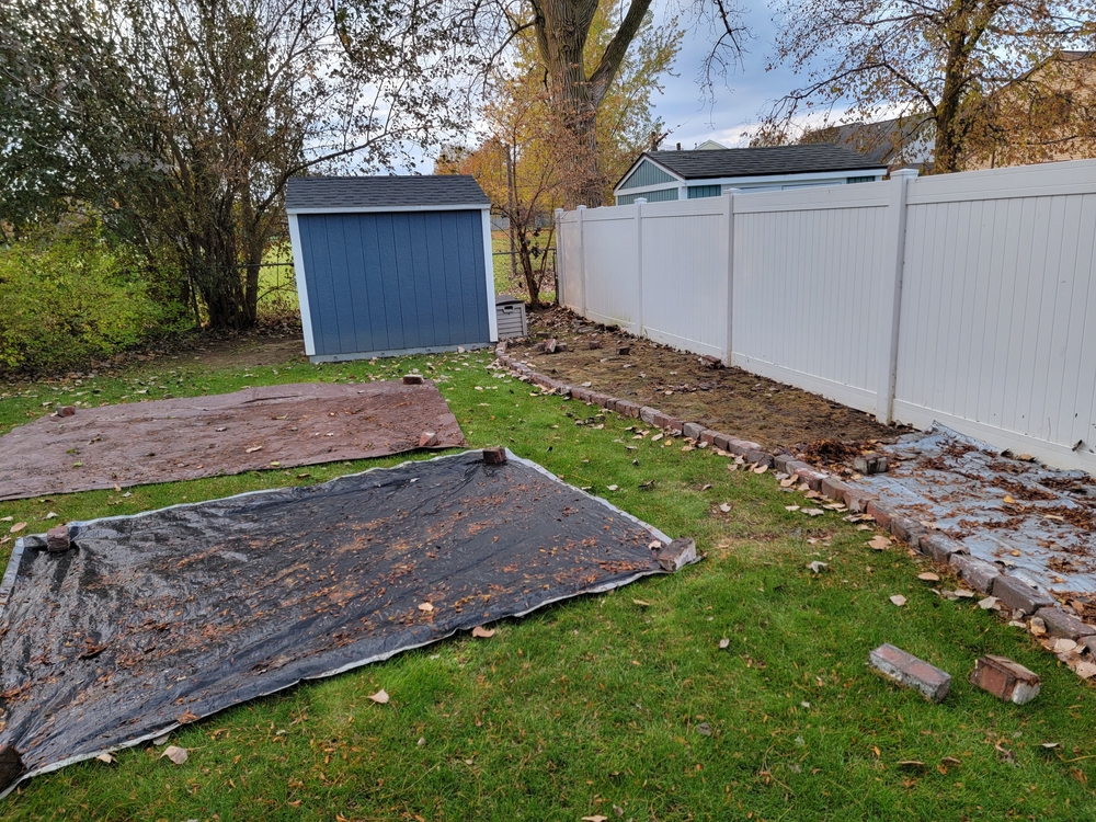 Shed Site Cleanup