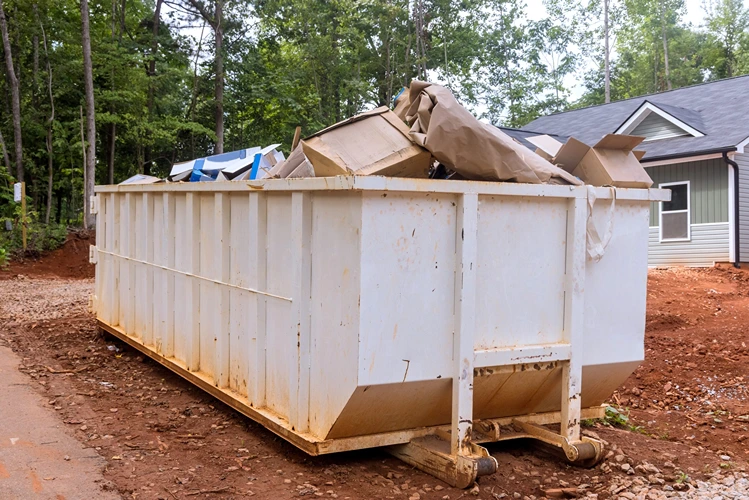 Trash Container Rental: Your Ultimate Guide to Hassle-Free Waste Management