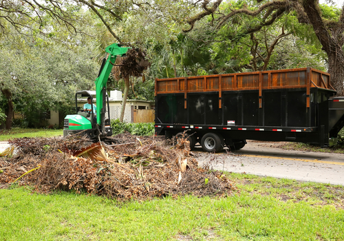 Tree Debris Removal Service