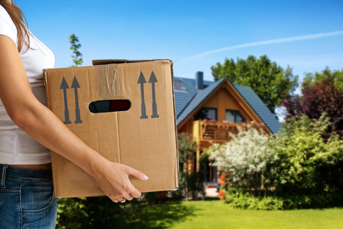 Understanding Junk Removal and Moving