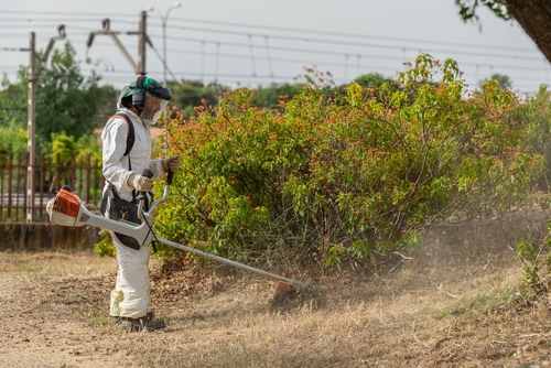 How to Use a Brush Cutter for Clearing Dense Vegetation: Expert Tips