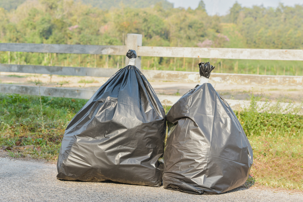 Virginia Beach Trash Pickup: Schedule and Guidelines for Efficient Waste Disposal