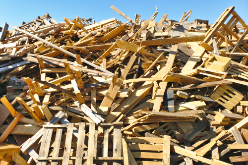 Wood Waste Dumping
