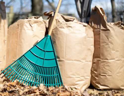 Yard Waste Dumpster Rental: Is It Right For You?