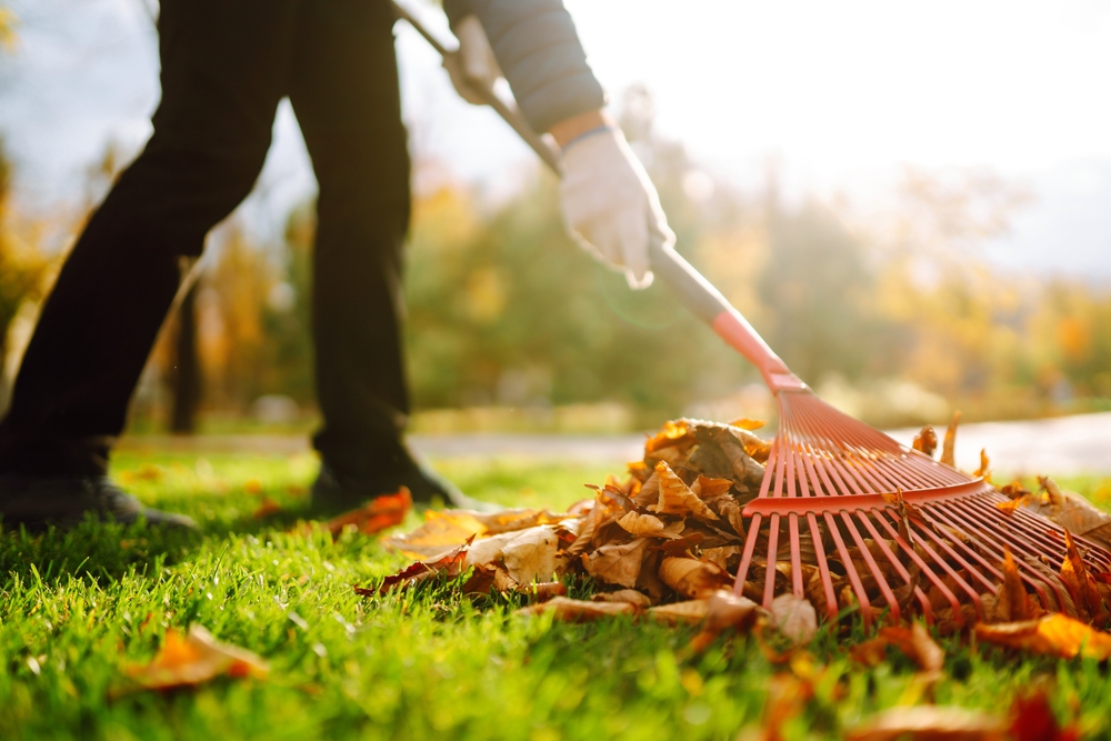 Year-Round Yard Cleanup Guide: Essential Tips for Every Season